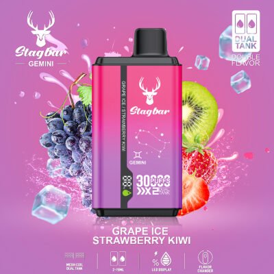 s90主图9-1 Stagbar Gemini 2ni1 30000puffs
