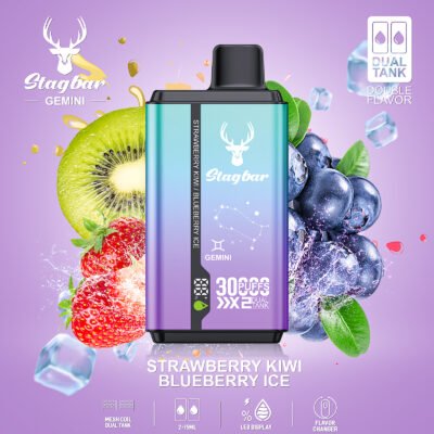 s90主图9-10 Stagbar Gemini 2ni1 30000puffs