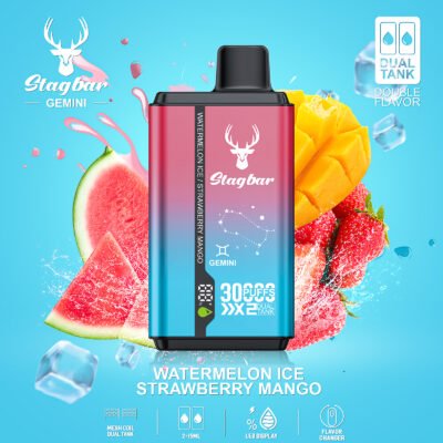 s90主图9-5 Stagbar Gemini 2ni1 30000puffs