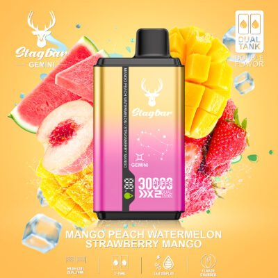 s90主图9-7 Stagbar Gemini 2ni1 30000puffs